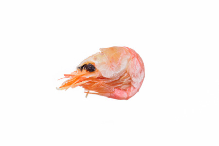 Single curled fresh pink Northern prawn, Pandalus borealis, a popular shellfish delicacy and ingredient in seafood cuisine isolated on whiteの写真素材