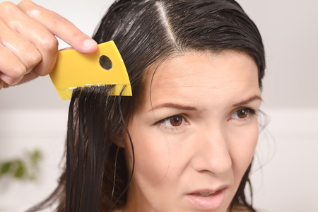 Woman combing out lice in her hair with a lice comb grimacing as she pulls the fine teeth through her long brown tresses to control the contagious infestation of tiny wingless insectsの写真素材