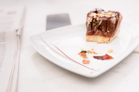 Wasp on Crumb of Slice of Cake on Plate next to Newspaper on Tableの写真素材