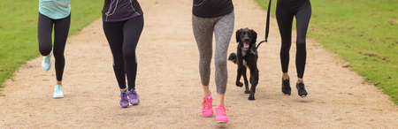Legs of Four Women Wearing Fitness Outfit, Running at the Park with their Black Pet Dog.の写真素材