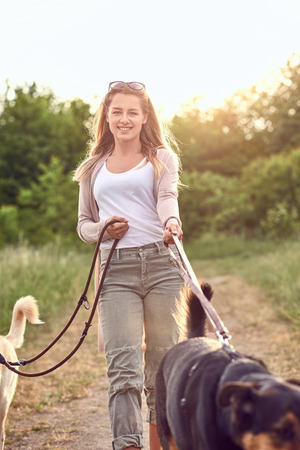 Smiling pretty blond woman walking her two dogs along a rural farm road backlit by the glow from the sun low over the treetops with focus to the womanの写真素材