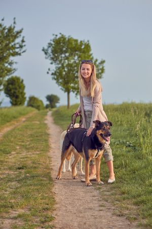 Attractive smiling blond woman with her two dogs on leads standing on a dirt road in farmland looking at the camera in evening lightの写真素材