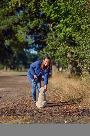 Happy brunette middle-aged woman standing with her little Labrador puppy while kneeing on a rural pathの写真素材