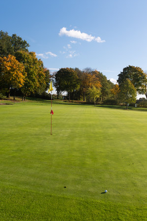 Close view of a golf putting green with a flagstick and a golf ball near the hole. The green is surrounded by trees with autumn foliage under a clear blue sky, showing a calm and sunny day on the golf course.の写真素材