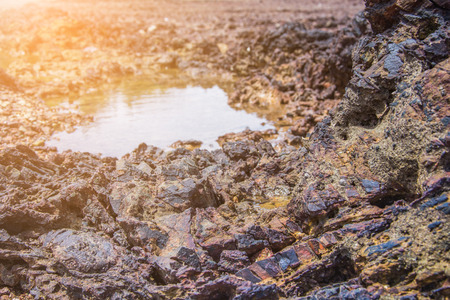 rock and sea water on the beach sun light flare の写真素材