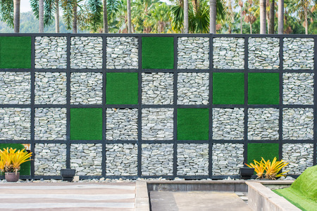 Wall green cement background in garden naturalの写真素材