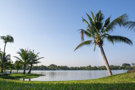 landscape river park nice natural for relaxationの写真素材