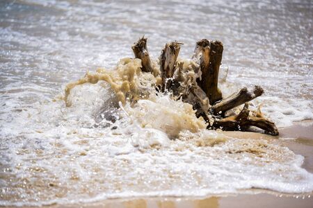 timber on the sea and wave splash blur backgraond natural seascapesの写真素材