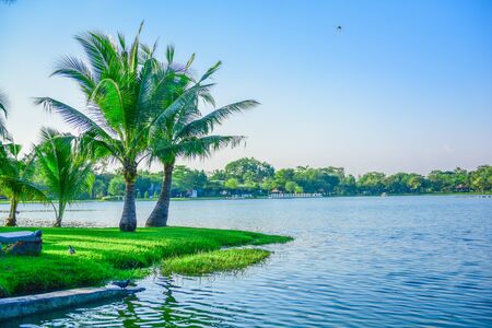 green park and river beautiful natural for relaxの写真素材