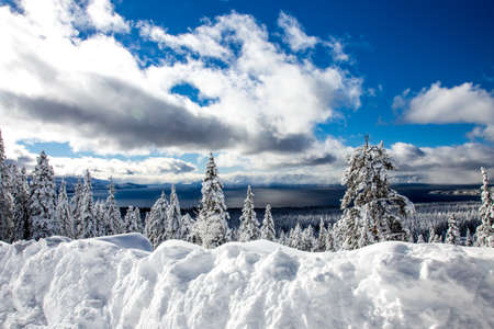 Beautiful winter. Snow dayの写真素材