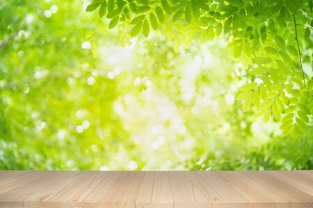 Empty wooden table on green nature background with beauty bokeh under sunlight. Counter bar for product display.の写真素材