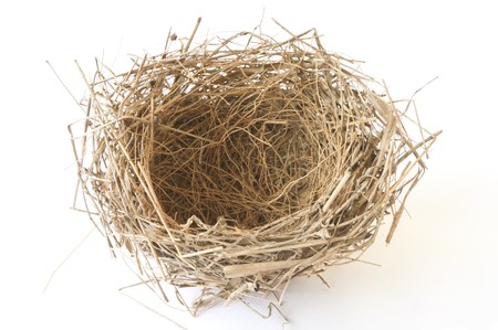 empty nest isolated on whiteの写真素材