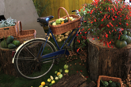 Old bicycle carrying flowersの写真素材