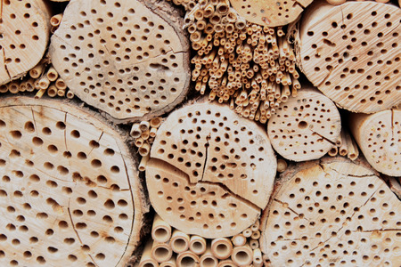 insect hotel