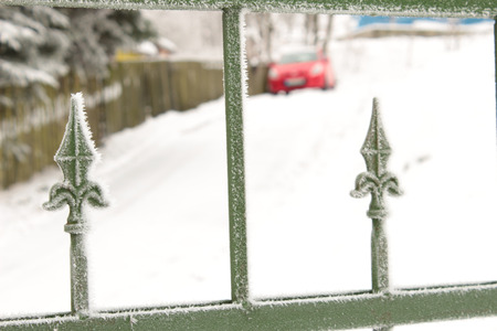 detail frozen green garden gateの写真素材