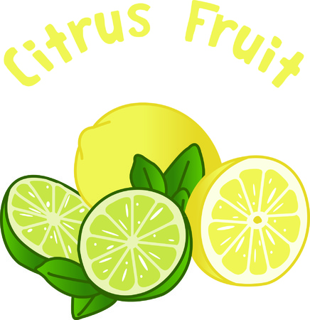 The tart and tangy flavors or lemon and lime add just the right taste.  This pretty design adds just the right zing.のイラスト素材