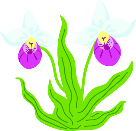 This beautiful flower is perfect when you are creating a spring design.  Perfect to put on a pillowcase!のイラスト素材