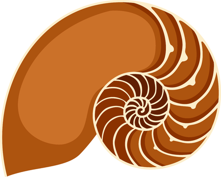 This giant shell is perfect for your nautical theme.のイラスト素材