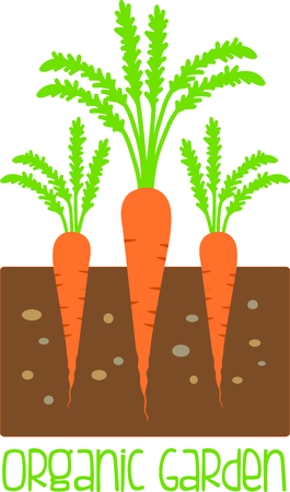 Use this image of a carrot plant in your gardening design.のイラスト素材