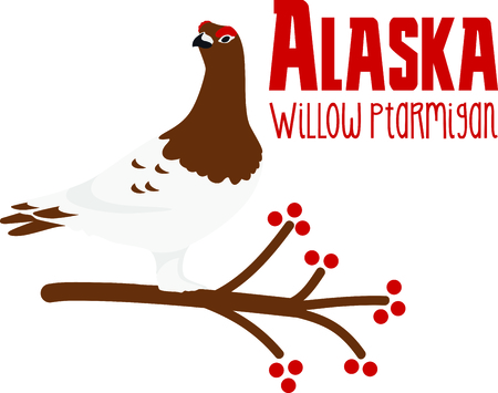 Use this image of a Willow Ptarmigan in your next design.のイラスト素材