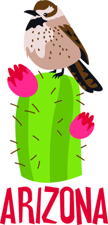 Use this image of a Cactus Wren in your next design.のイラスト素材