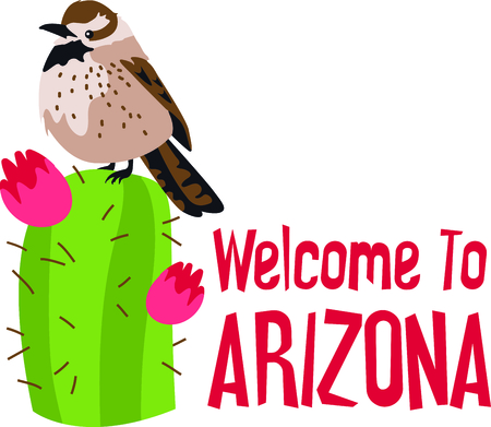 Use this image of a Cactus Wren in your next design.のイラスト素材