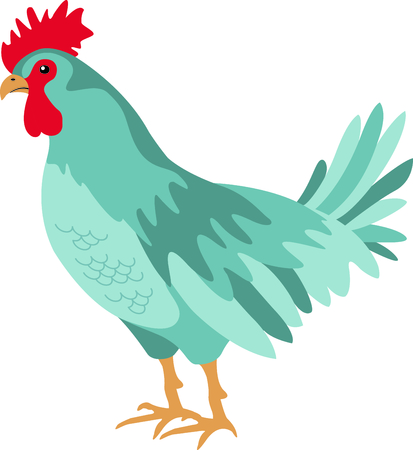 Use this image of a hen in your next design.のイラスト素材