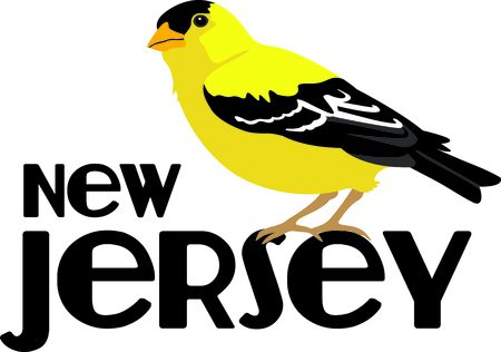 Use this image of a goldfinch in your next design.のイラスト素材