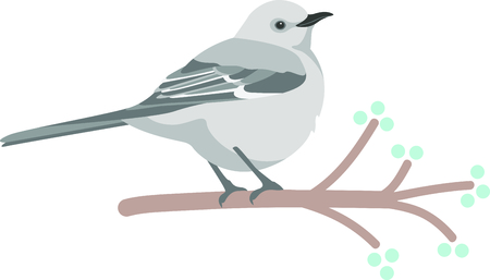 Use this image of a Mockingbird in your next design.のイラスト素材