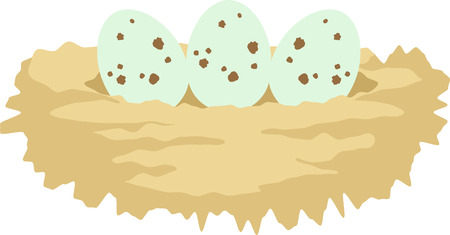 Nature lovers will enjoy a lovely bird nest with eggs in their garden.のイラスト素材
