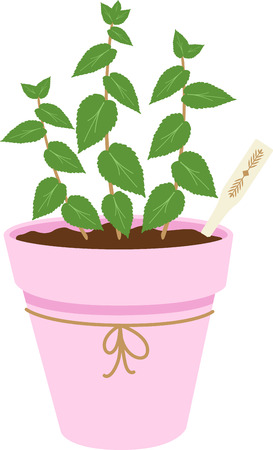 Herbs are a gift given by God to enhance the beauty of our Nature.のイラスト素材