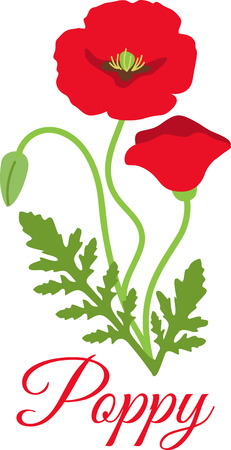 This beautiful flower image is perfect for your spring design.のイラスト素材