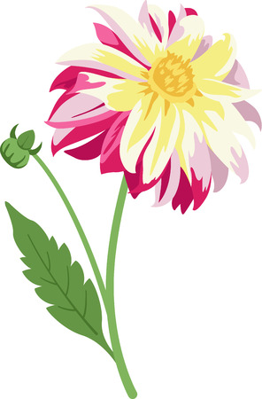 This beautiful flower image is perfect for your spring design.のイラスト素材
