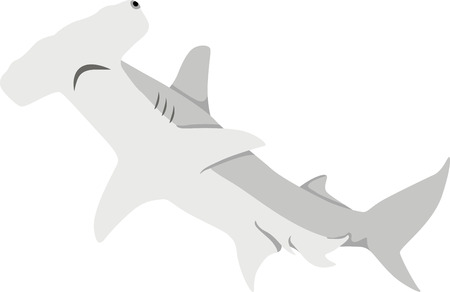 Saddle up for a close encounter with the sea's most captivating creatures with this design on your home projects.のイラスト素材