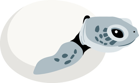 Be in touch with nature indoors!  Add oceans of charm with this turtle design on clothing and home decor.のイラスト素材