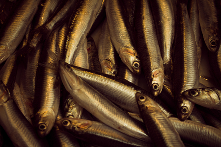 Close view of silver and gold fish in the market. Fresh marine foodの写真素材