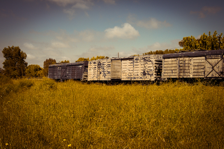 Freight train wagons abandoned in the field. Transportation of grains.の写真素材