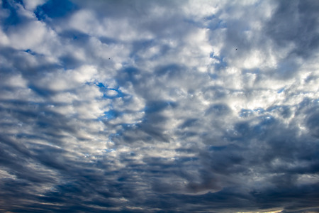 Numerous white clouds barely reveal the blue of the sky. Resource for designers.