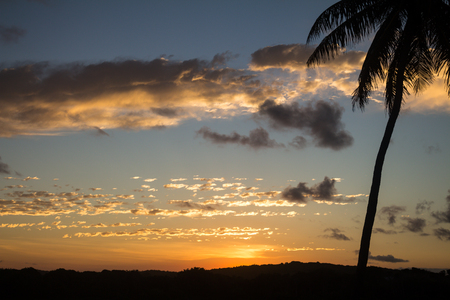 Beautiful sunset on the beach. The sun dyes the clouds in golden colors. Silhouette of a palm tree.の写真素材