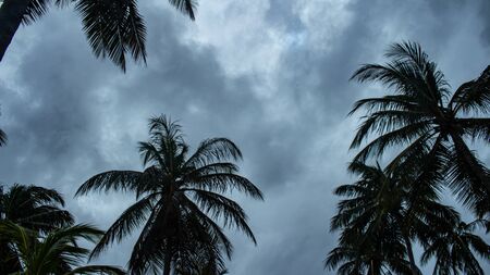 Storm clouds over beach trees. Storm on vacation days.の写真素材