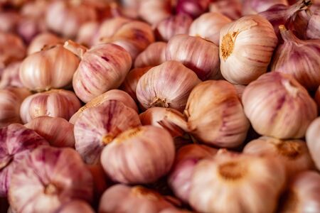 Numerous heads of garlic. Natural food used as species. Spicy seasoningの写真素材