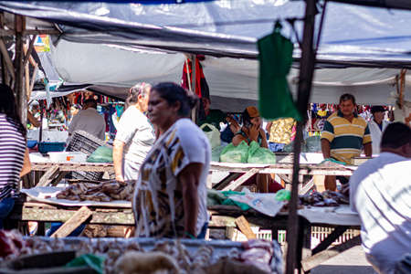 Goianinhia, Rio Grande do Norte. July 13, 2019. Shoppers at a farmers market. Open air market. Picturesque food market.のeditorial素材