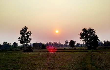 Sunset of the countrymen In the meadow width Sunset Has a pleasure to see. In the countryside natural life. Should take advantage of this happiness.の写真素材
