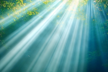 Sunlight rays in the forest. Sun rays in the forest.の素材
