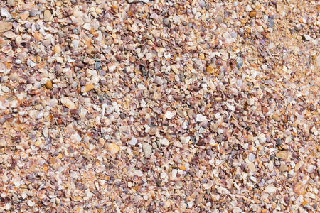 Debris shellsの写真素材