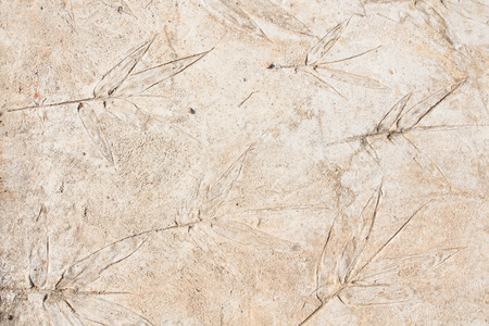 cement floorの写真素材