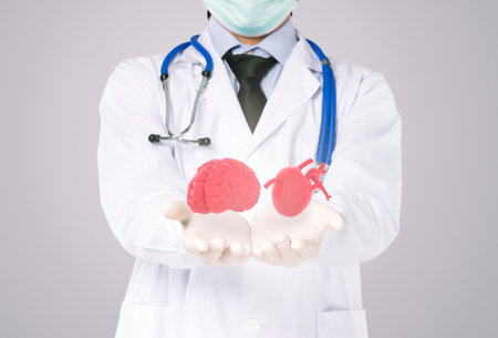 psychiatrist holds heart and brain , concept mental healthの写真素材