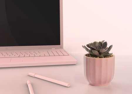 succulent cactus pot placed on the work deskの写真素材