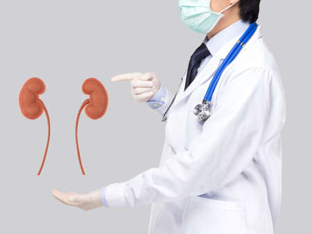 doctor pointed kidney disease on gray backgroundの写真素材