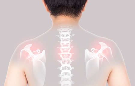 man feel spine bones injury gray background spine painの写真素材